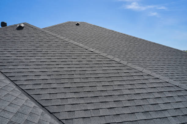 Best Storm Damage Roof Repair  in Allegan, MI